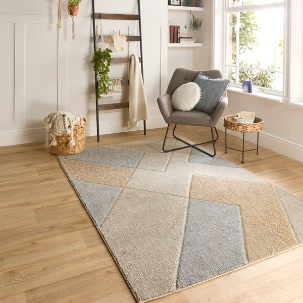 Notion Rugs