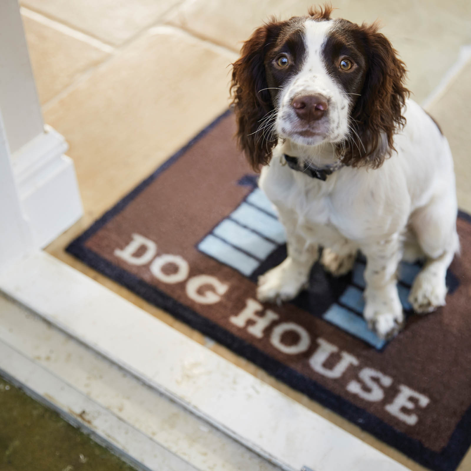 pet barrier mat