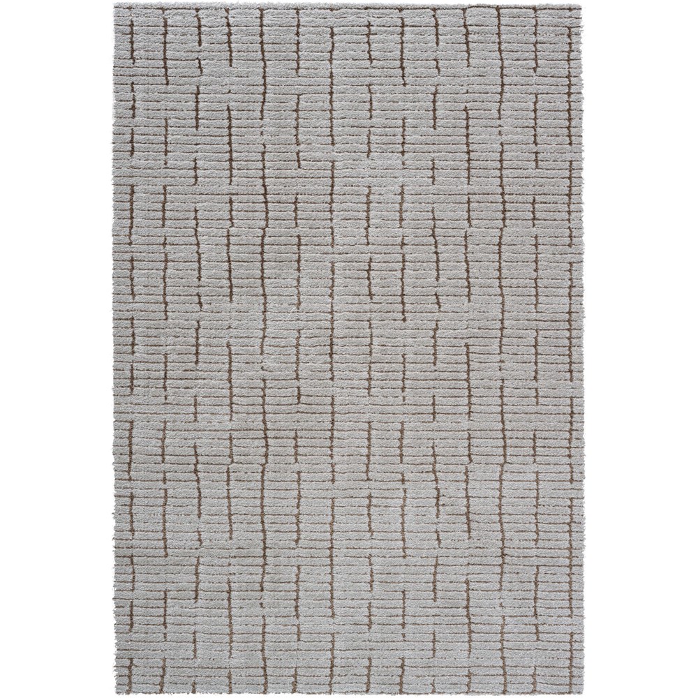 Dune 14002 6212 Carved Textured Rug in Cream Brown