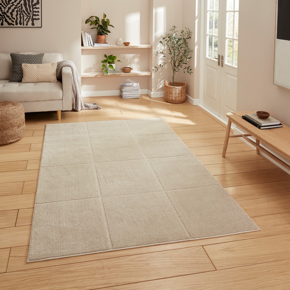 Elio 70100 Textured Geometric Modern Rugs in Mink Brown