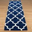 Blue moroccan rug