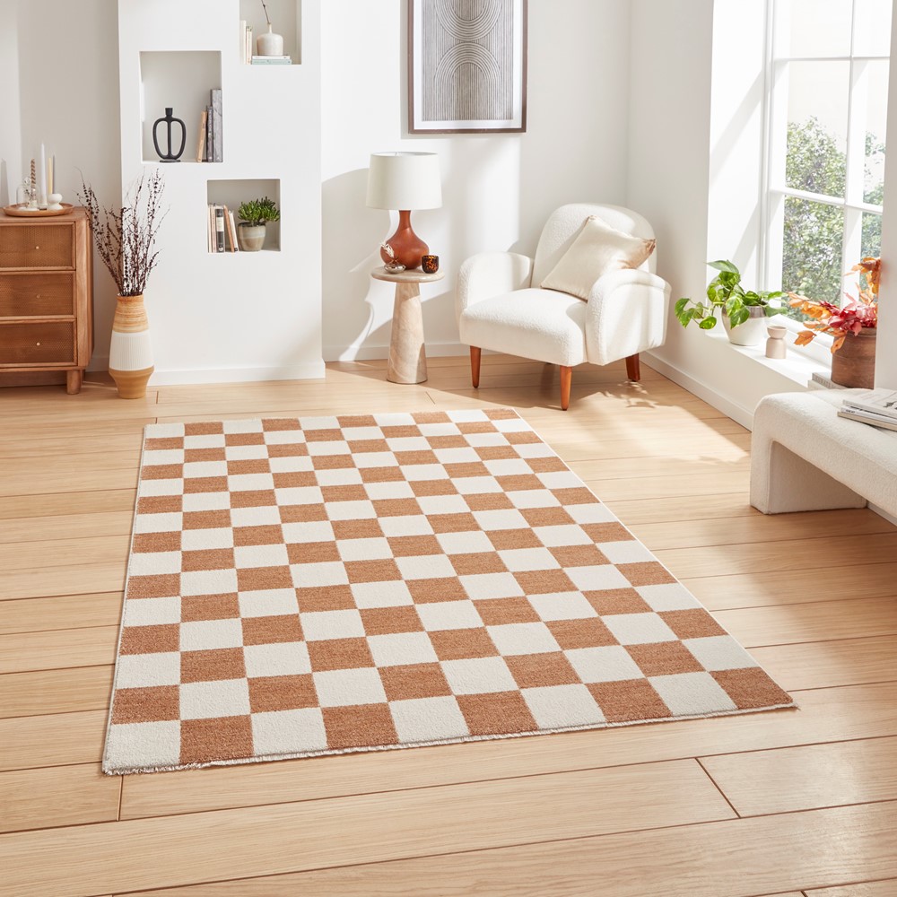 Baltimore 66618 Checkerboard Geometric Modern Rugs in Walnut Brown