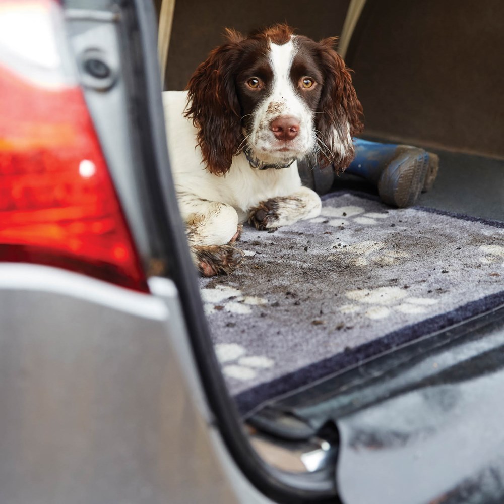 Big Paw Car Boot Mats 1 By Howler Scratch Buy Online From The