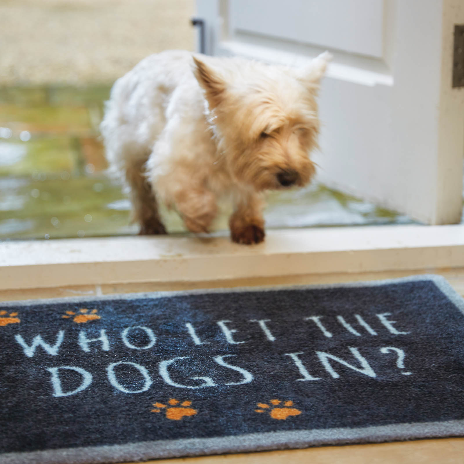 Howler & Scratch Dogs In Mats 2 in Blue buy online from the rug seller uk