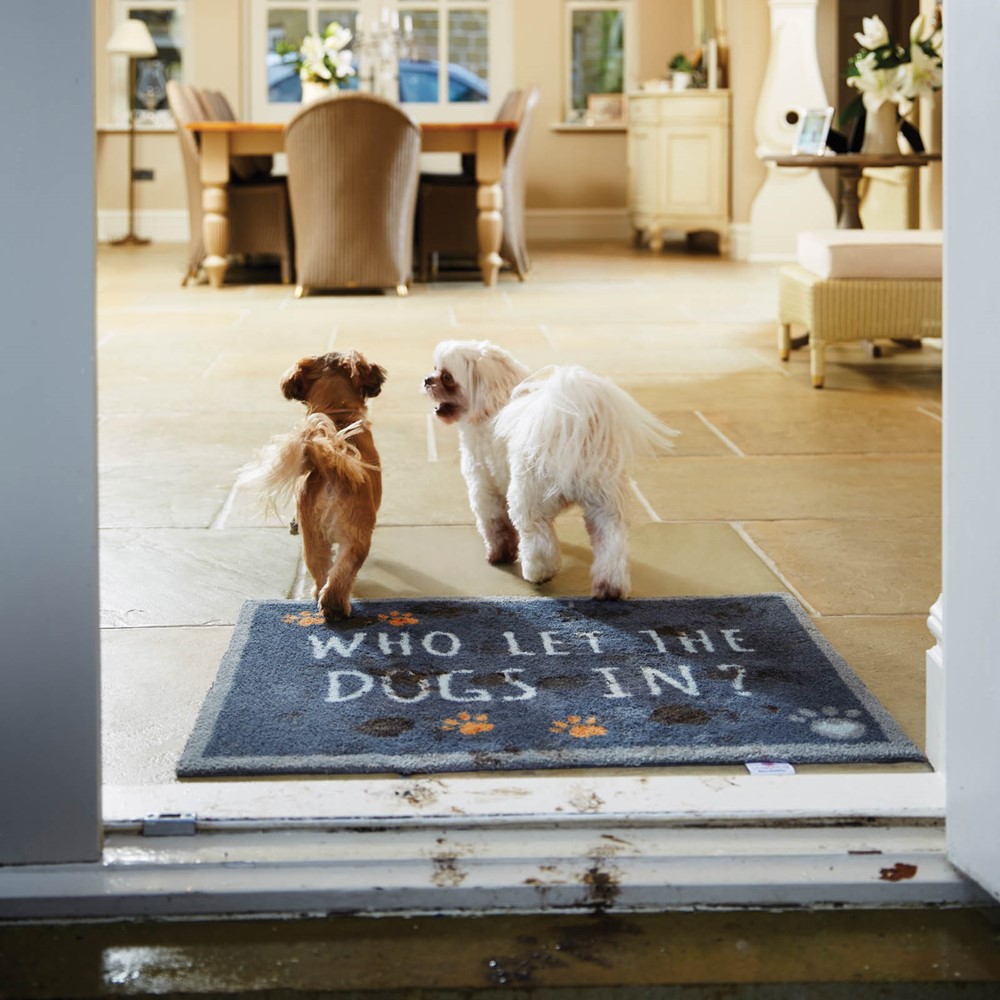 Hug Rug Barrier Mats Pet 39 Buy Online From The Rug Seller Uk