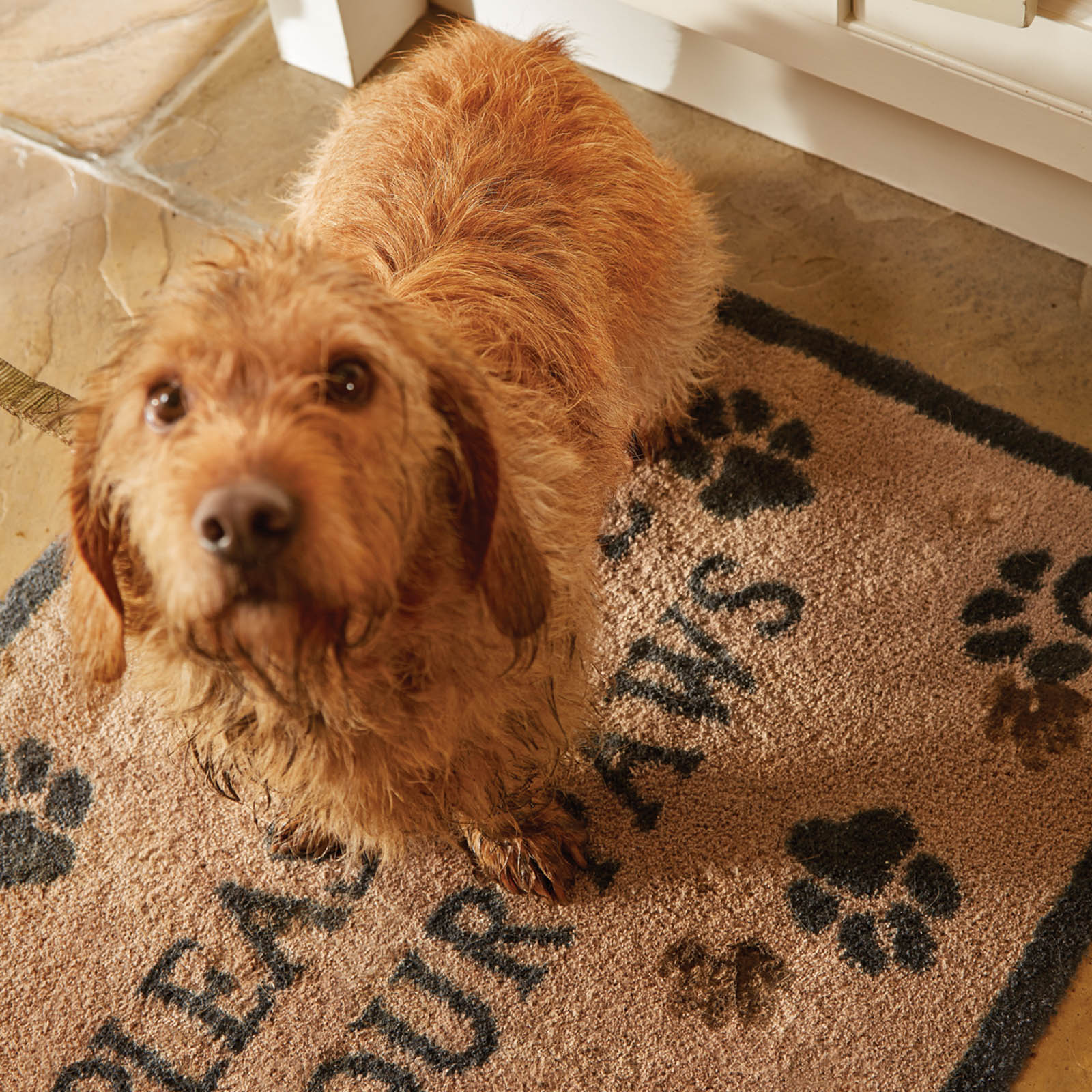 Hug Rug Barrier Mats Pet 60